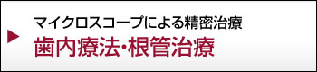 マイクロスコープによる治療